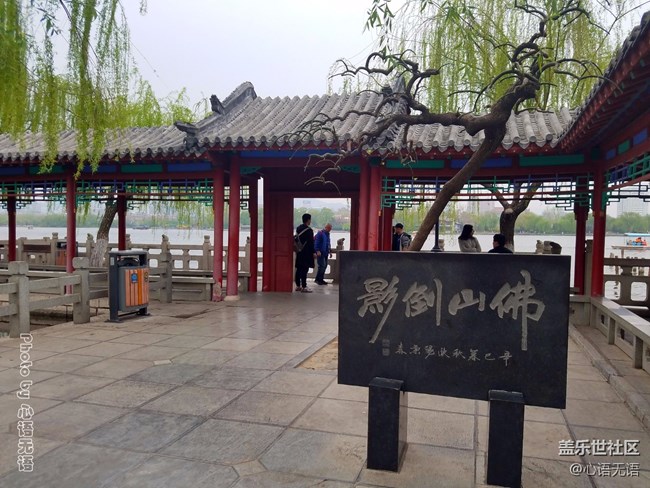 清明時(shí)節(jié)，去大明湖畔邂逅夏雨荷