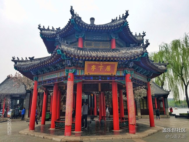 清明時(shí)節(jié)，去大明湖畔邂逅夏雨荷