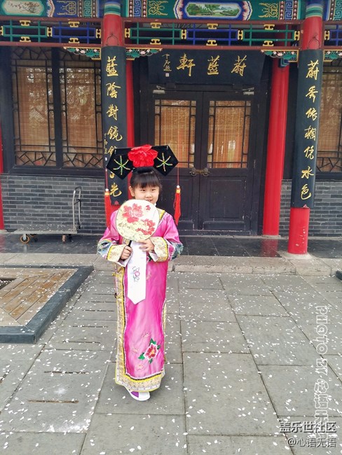 清明時(shí)節(jié)，去大明湖畔邂逅夏雨荷