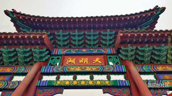 清明時(shí)節(jié)，去大明湖畔邂逅夏雨荷