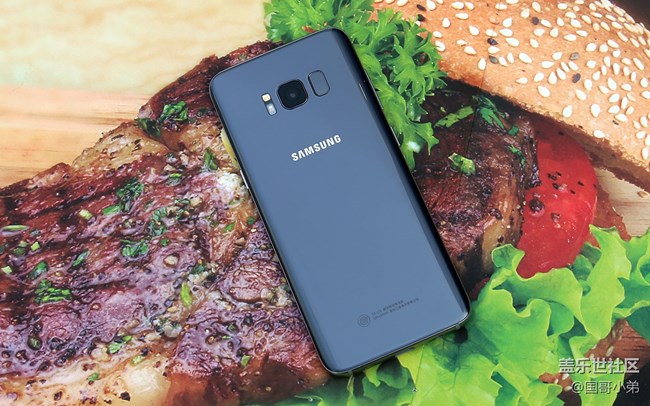 三星S8煙晶灰圖賞：翩若驚鴻 婉若煙晶