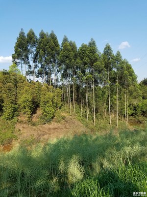 釣小龍蝦不是重點(diǎn)，享受好天氣