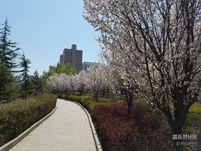 春來，花開