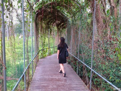 我眼中的世界+廈門(mén)+帶上c5 pro 去尋找春天色彩