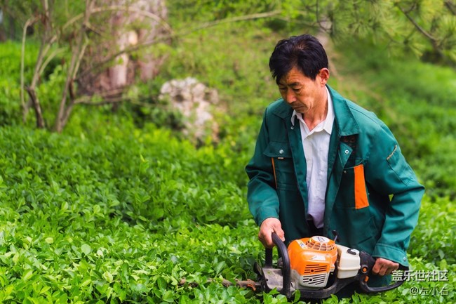左小右的泉城行記