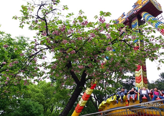 【樂享C5 Pro】不可不信緣,三星蓋樂世C5 PRO(一) 【樂享C5 Pro】不可不信緣,三星蓋樂世C5 PRO(一)