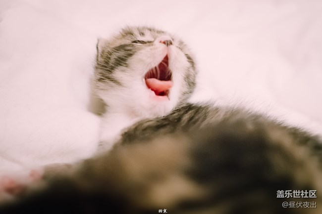 出生剛一周，萌死人