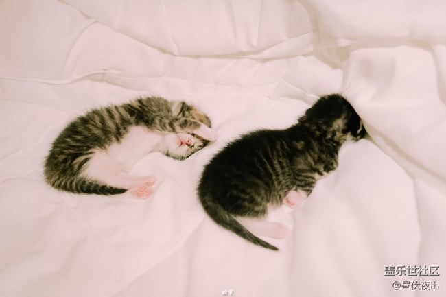 出生剛一周，萌死人