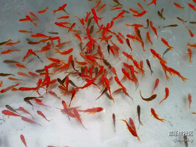 【樂享C5 Pro】不可不信緣,三星蓋樂世C5 PRO(一) 【樂享C5 Pro】不可不信緣,三星蓋樂世C5 PRO(一)