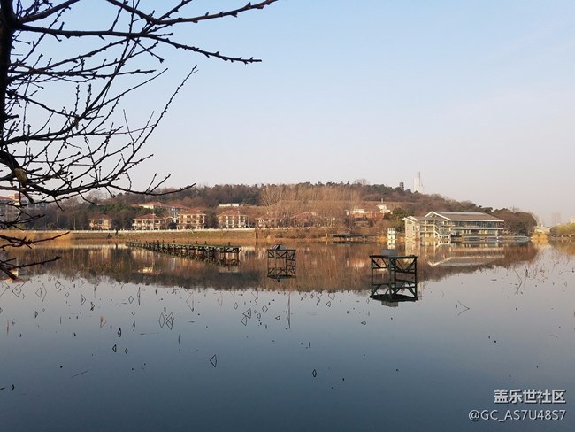 南京玄武湖早晨隨拍(還有這么個地方,下次來多學(xué)習(xí))