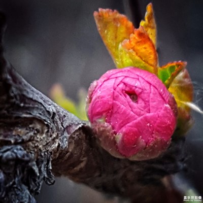 春·萌動(dòng)！