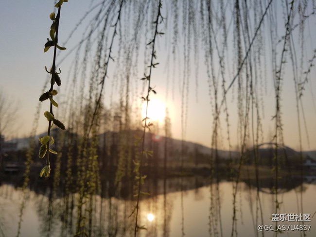南京玄武湖早晨隨拍(還有這么個地方,下次來多學(xué)習(xí))