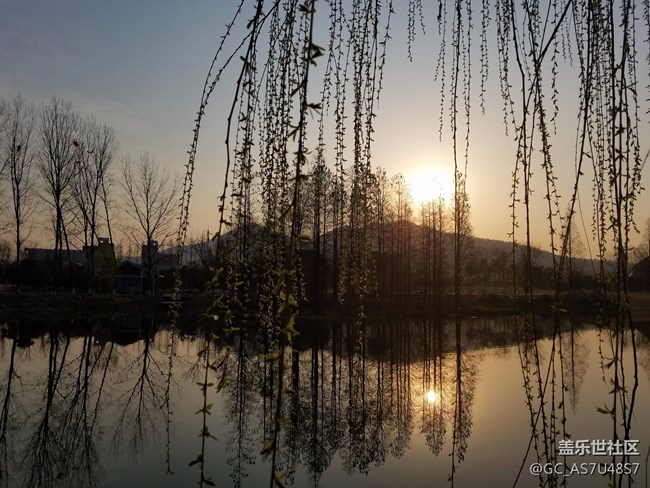 南京玄武湖早晨隨拍(還有這么個地方,下次來多學(xué)習(xí))