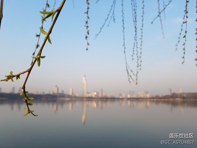 南京玄武湖早晨隨拍(還有這么個地方,下次來多學(xué)習(xí))