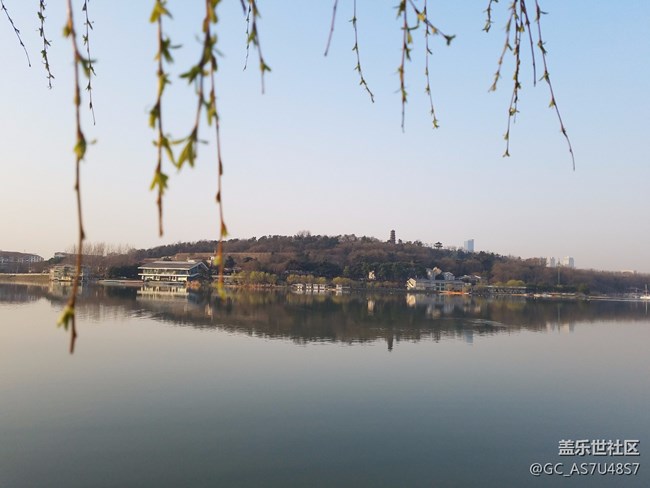 南京玄武湖早晨隨拍(還有這么個地方,下次來多學(xué)習(xí))