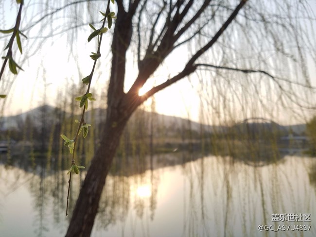 南京玄武湖早晨隨拍(還有這么個地方,下次來多學(xué)習(xí))