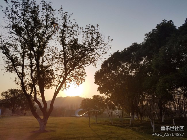 南京玄武湖早晨隨拍(還有這么個地方,下次來多學(xué)習(xí))