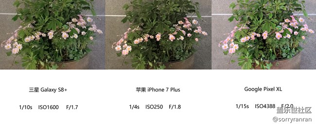真の登頂！三星S8+|蘋果7 Plus|Google Pixel XL拍照對比評測
