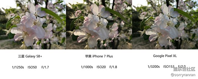 真の登頂！三星S8+|蘋果7 Plus|Google Pixel XL拍照對比評測
