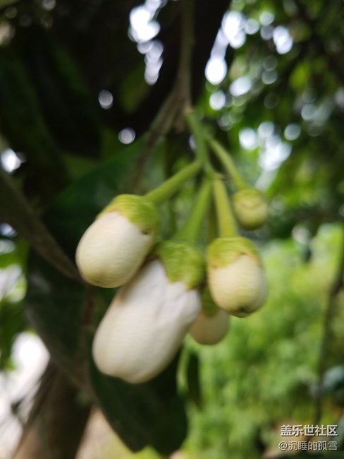 蓋樂世影像傳圖太慢，大家是不是有這樣的感受