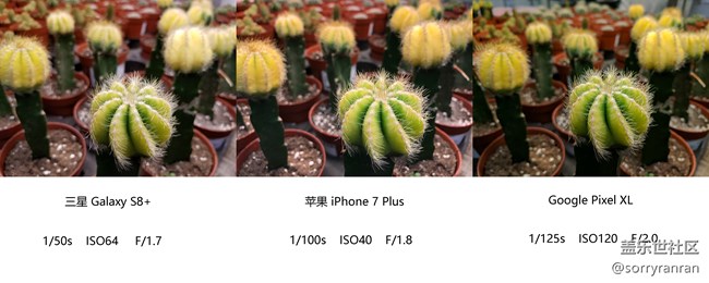 真の登頂！三星S8+|蘋果7 Plus|Google Pixel XL拍照對比評測
