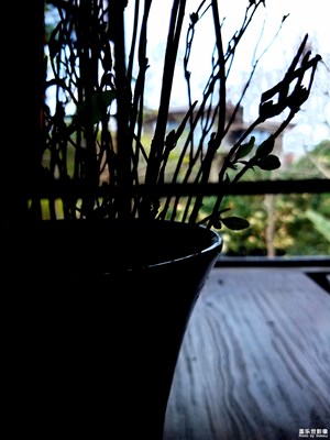 你就不要想起我