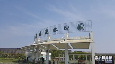 上海濱江森林公園