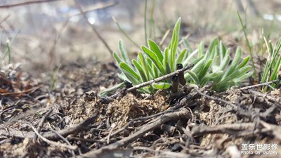 走走你會發(fā)現(xiàn)許多