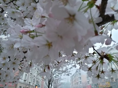 非專業(yè)，請(qǐng)多指教