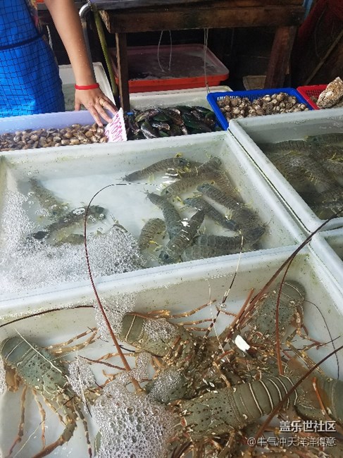 拍才知道+泰國海鮮市場