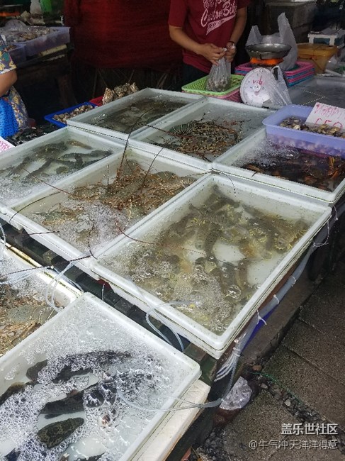 拍才知道+泰國海鮮市場