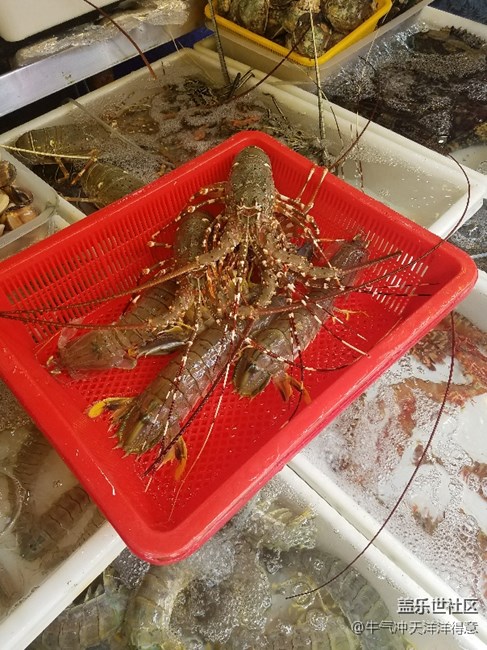 拍才知道+泰國海鮮市場