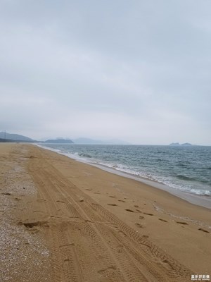 一路旅行一路曬 S7 陽江 海