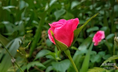 一路旅行一路曬+綿陽市+心情隨拍