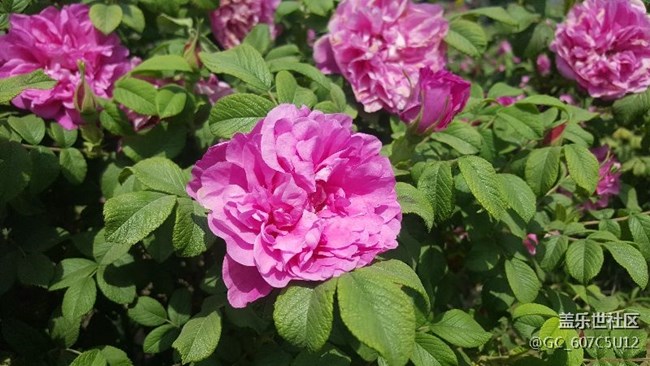 節(jié)日快樂(lè)