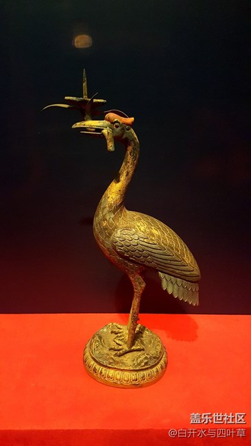 中國(guó)瑰寶——首博游記