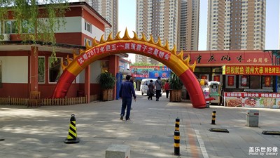 一路旅行一路曬+沈陽(yáng)南湖公園+“五一”君子蘭花展