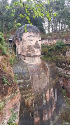 一路旅行一路曬+成都+樂山行