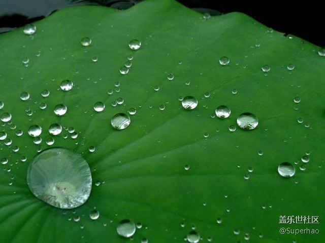 {科普}   疏油層重要嗎？