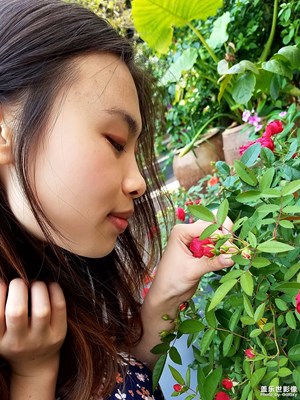 一路旅行一路曬+大鵬所城+隨手拍