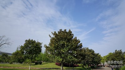 一路旅行一路曬+南昌+春游