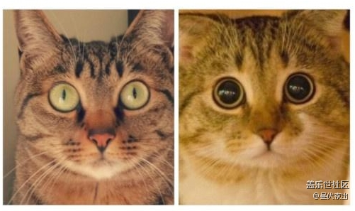 一張圖教你怎么識別光圈大小