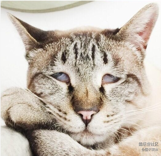 一張圖教你怎么識別光圈大小