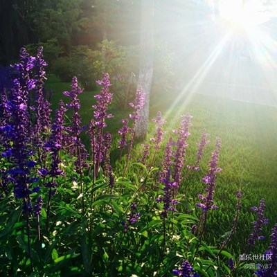 一路旅行一路曬 長春 花都開好了