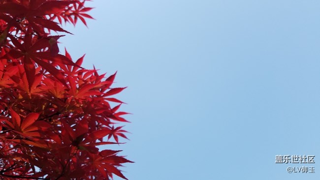 7.0后的專業(yè)模式RAW去哪了？