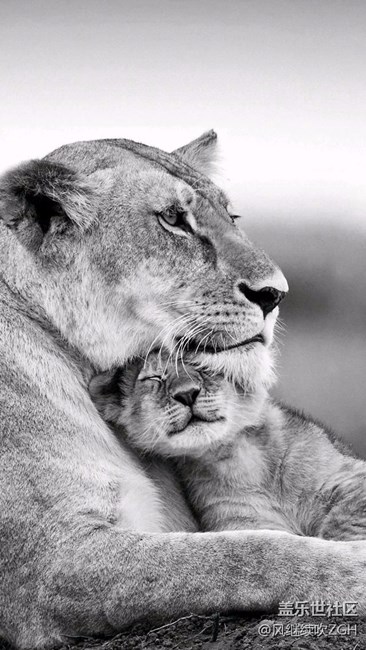 大家早上好，壁紙來一波