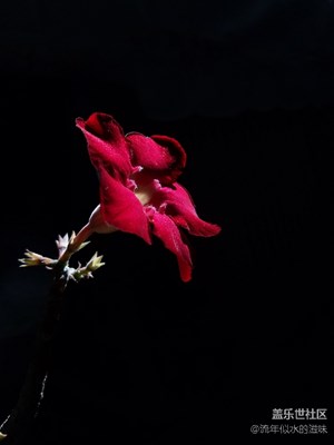 一路隨行一路曬+沈陽+花花世界