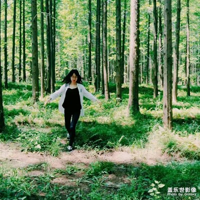 一路旅行一路曬+鹽城+森林狂奔