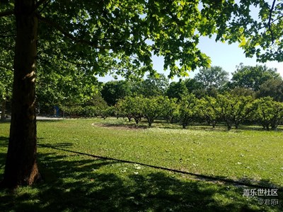 《初夏風(fēng)情畫》+北京+臨夏瞎轉(zhuǎn)悠！