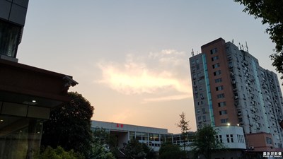 《初夏風(fēng)情畫》+ 成都 + 初夏風(fēng)光